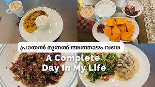 ഒരു ഇടവേളക്ക് ശേഷം ഒരു complete day in my life | മധുരക്കിഴങ് പുഴുങ്ങിയതും കാന്താരി ഉടച്ചതും