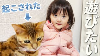 まるまり寝子の傍で遊びたい2歳娘