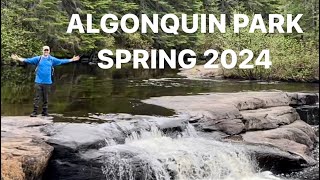 Algonquin Park - Spring 2024