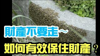 財產想飛?我有法寶哈哈