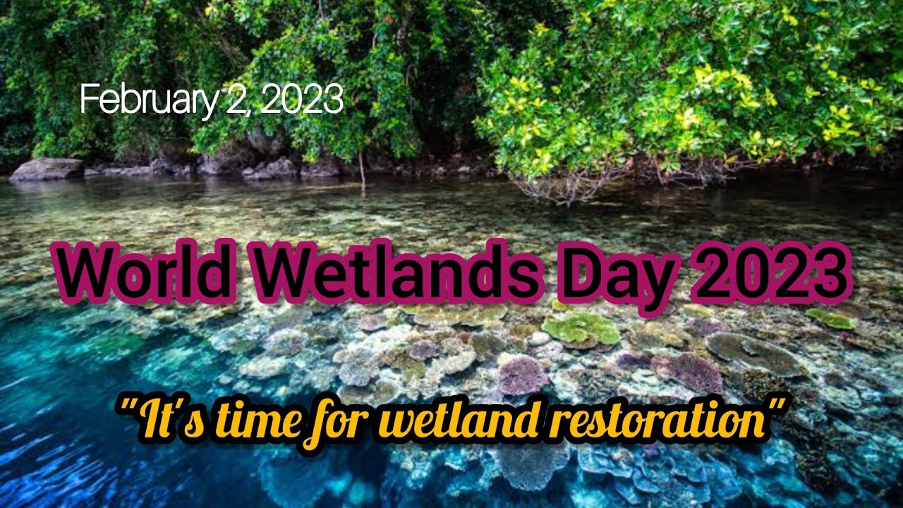 World Wetlands Day 2023 | Easy Lines On World Wetlands Day - It's Time ...