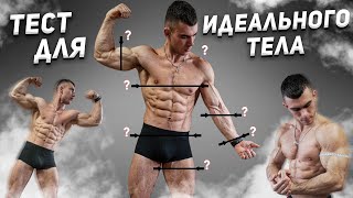 Measurement and Calculation for Ideal Physique (PASS TEST)