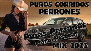 Puros Corridos Perrones - Puras Perronas Para Pistear Mix 2024