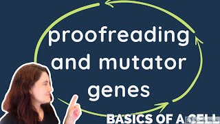 Proofreading, mutator genes, and replication complex - in English -