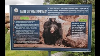 Watch a 'bear run' at the Daroji sloth bear sanctuary!