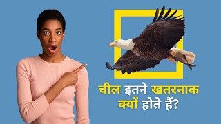 चील इतने खतरनाक क्यों होते हैं? | 19 Top Amazing Facts About Eagles in Hindi | Interesting Facts