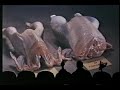 mst3k 702 the brute man