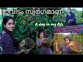 Day in my life ❤️ഇവിടം സ്വർഗമാണ് ❤️അട്ടപ്പാടി /Saranya's beauty Vlogs