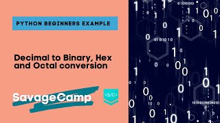 Python Decimal to Binary, Hex and Octal Conversion (VERY EASY)