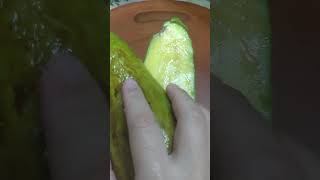 #酪梨粉絲大家好，竹崎早生(章安)，開果，漂亮好吃，#avocado ，2023.06.16