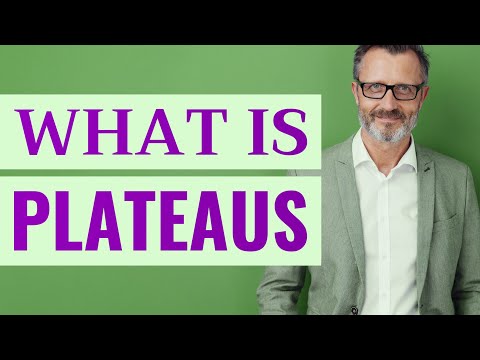 What is a meaning of Plateau?
