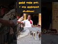 துரத்தி துரத்தி கடித்த நாய்..7 மாத குழந்தையும் விடவில்லை velachery dog bite shorts