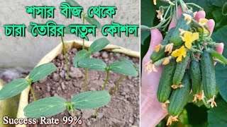 শসার বীজ থেকে চারা তৈরি নতুন কৌশল | How to grow Cucumber from seed | Biswa Bangla Krishi