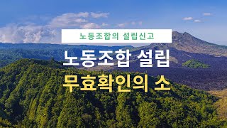 [노동법판례] 노동조합설립 무효확인의 소 ( #2017다51610 )