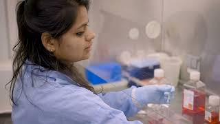 CAR T-cell Therapy for Solid Tumors | Stanford Cancer Institute