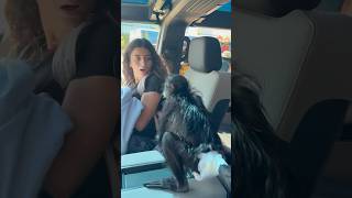Monkey Prank On Sister Yomariah