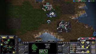 [Live] 스타팀플헌터 myth.argos Starcraft Hunter Teamplay [2025-02-01]