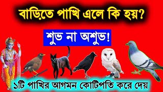 বাড়িতে পাখি এলে কি হয়? ১টি পাখি বাড়িতে এলে কোটিপতি করে দেয়