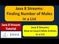 Java 8 Streams: Finding Number of Males in a List | Streams in Java 8