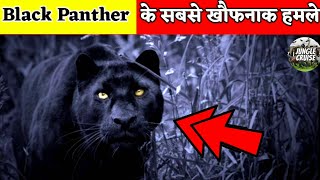 काला तेंदुआ का सबसे खौफनाक हमला || Most Dangerous Black Panther Attacks And Encounters