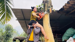 Agricultural vehicles transporting timber have helpers assisting with the work, which is extremely d