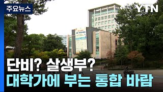 대학가에 부는 통합 바람 '글로컬'... 단비? 살생부? / YTN