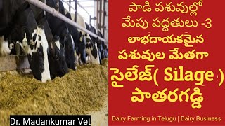 సైలేజి పచ్చిగడ్డి కన్నా లాభదాయకమా  | Silage better than Green Fodder? Telugu | Dr. Madankumar Vet