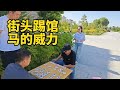 街头踢馆，谁敢应战？残局马胜炮，看我马的威力！