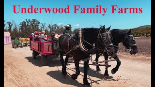 Underwood Family Farms