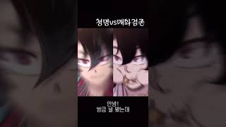 같은 청명 다른 느낌?! 청명vs매화검존 #shorts #박자편집 #청명 #캡컷 #매화검존 #화산귀환 #연락주세요 #연락