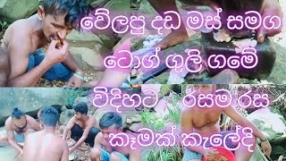 jungle cooking // make tok guli // වේලපු දඩ මස් එක්ක ටොග් ගුලි //  😍 රසම රස දඩ මස්