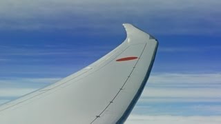 B-787 of beautiful wings 機窓！閃光？羽田空港～岡山空港 ANA 651 JA809A Aerial View