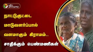 நாட்டுகுட்டை மாடுவளர்ப்பால் வளமாகும் கிராமம்.. சாதிக்கும் பெண்மணிகள் | Chengalpattu | PTT