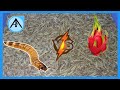 Mealworms VS Dragon Fruit