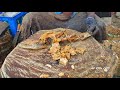 indian seer dry fish cutting🔪 rare cutting ever🔪 kf fish cuts