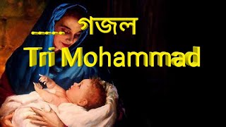 Priyo Mohammad New gojol | new song gojol | tri voboner prio mohammad | 2021 NewBangla islamic Gojol