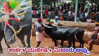 Kambala-Karkala Mukeshe+Mijar Appu Kudhi Kambala | 08-November-2021 | Namma Kambala