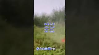 保佑儿女 (清明节之歌) 抖音