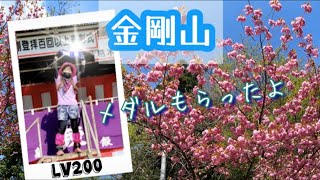 山頂の桜満開✿メダルをてにいれた☆ニリンソウにも会えたよ