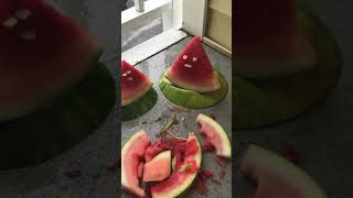 Watermelon Massacre Daddy!