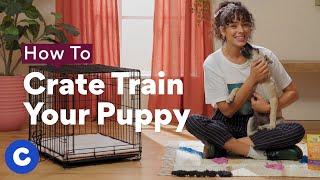 How To Crate Train a Puppy | Chewtorials