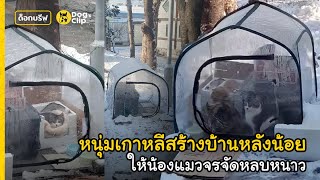 หนุ่มเกาหลีสร้างบ้านหลังน้อยให้น้องแมวจรจัดหลบหนาว | Dog's Clip