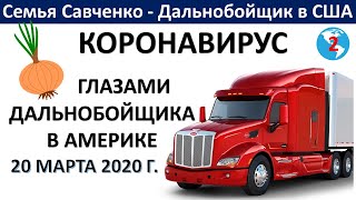 Карантин глазами дальнобойщика в Америке. Пустые полки. Кушаем лук. 20 марта 2020. Семья Савченко