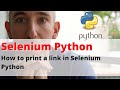 How to print a link in Selenium Python