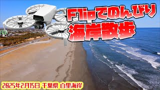 【DJI Flip作例】Flipでのんびり「海岸散歩」：期待の新作ドローンでNDフィルター有りのD-log撮影にて撮影しましたドローン空撮 Aerial video of drone N303