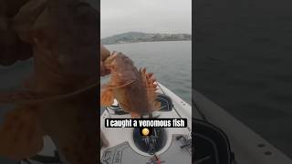 Sculpin 😳 #tightlines #fishing #omg #fish #sportfishing #youtubeshorts #youtuber #kayakfishing