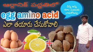 ఆర్గానిక్ పద్ధతిలో egg amino acid  ఎలా చేయాలి | how to make an egg emino acid in organic method