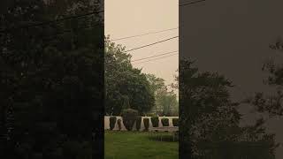 The Sun And Sky Swallowed By Smog #longisland #smog #wildfire