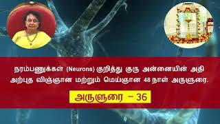 36. நரம்பணுக்கள் (Neurons) குறித்து குரு அன்னையின் அருளுரை