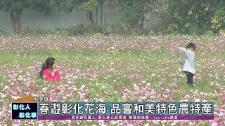 109-01-04  春遊彰化農田花海第二場　花漾和美~鼠年好運迎新春登場